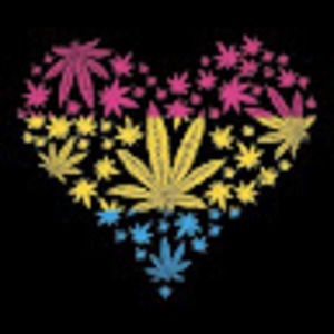 Meet your Posher, Kaii